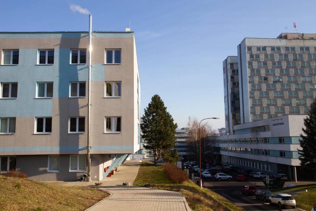 Apartment Roosevelt